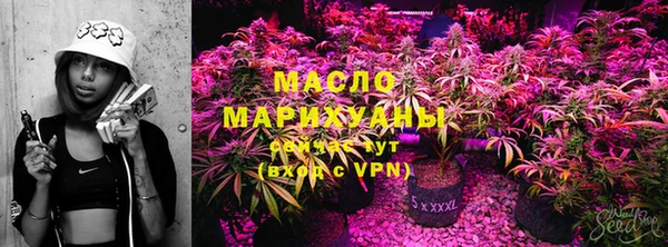 гашик Козельск