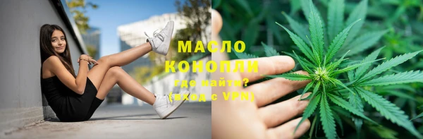 крисы Козловка