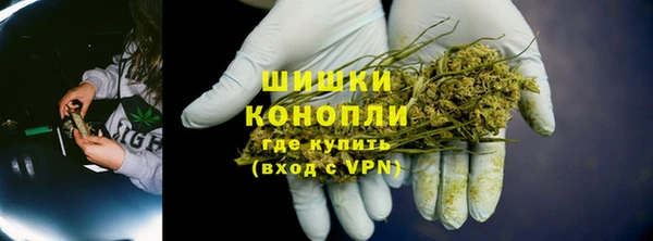 крисы Козловка
