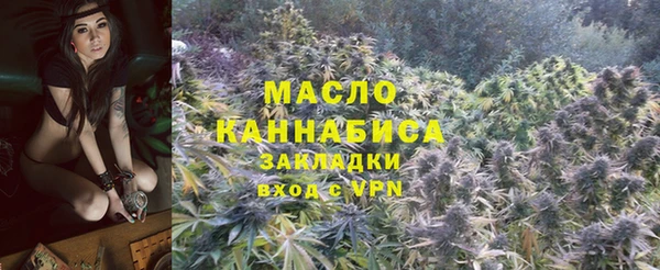 крисы Козловка