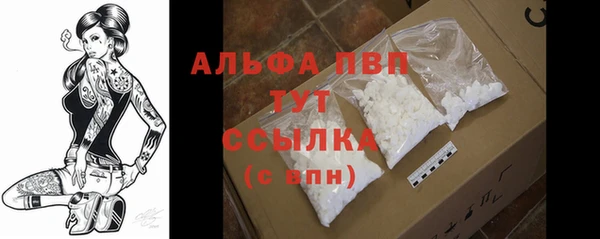 спиды Кинешма