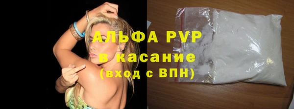 гашик Козельск