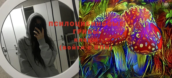 крисы Козловка