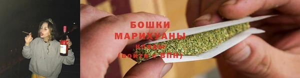 крисы Козловка