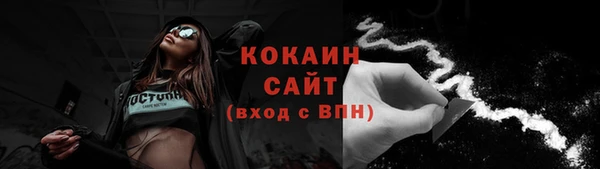 крисы Козловка