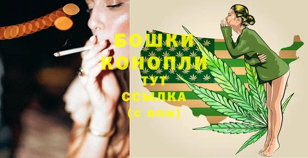 крисы Козловка