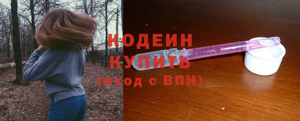 гашик Козельск
