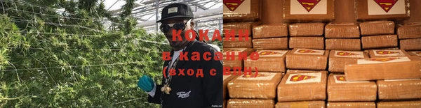 крисы Козловка