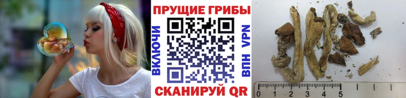 Галлюциногенные грибы мухоморы  Купить где  Котовск 