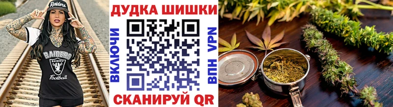 Купить закладки  Котовск  Шишки марихуана гибрид 